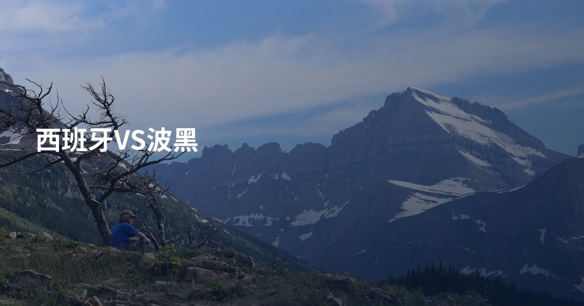 西班牙VS波黑