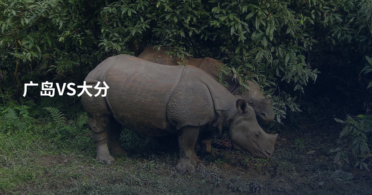 广岛VS大分
