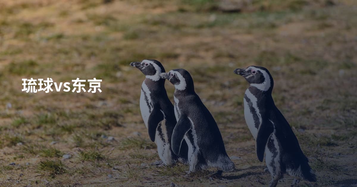 琉球vs东京