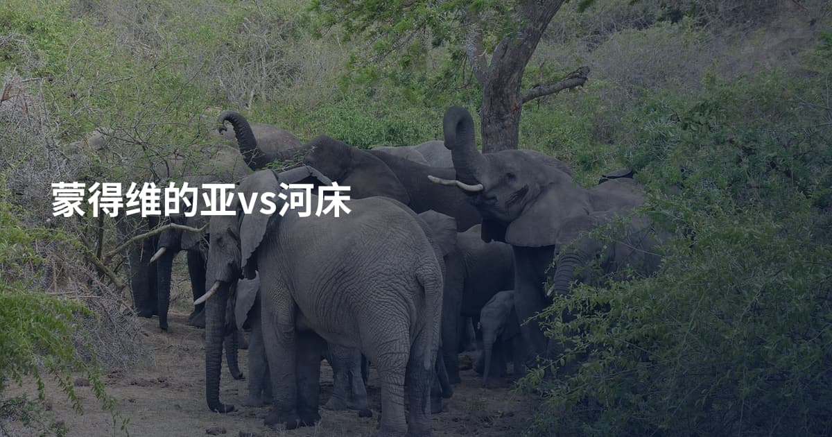 蒙得维的亚vs河床