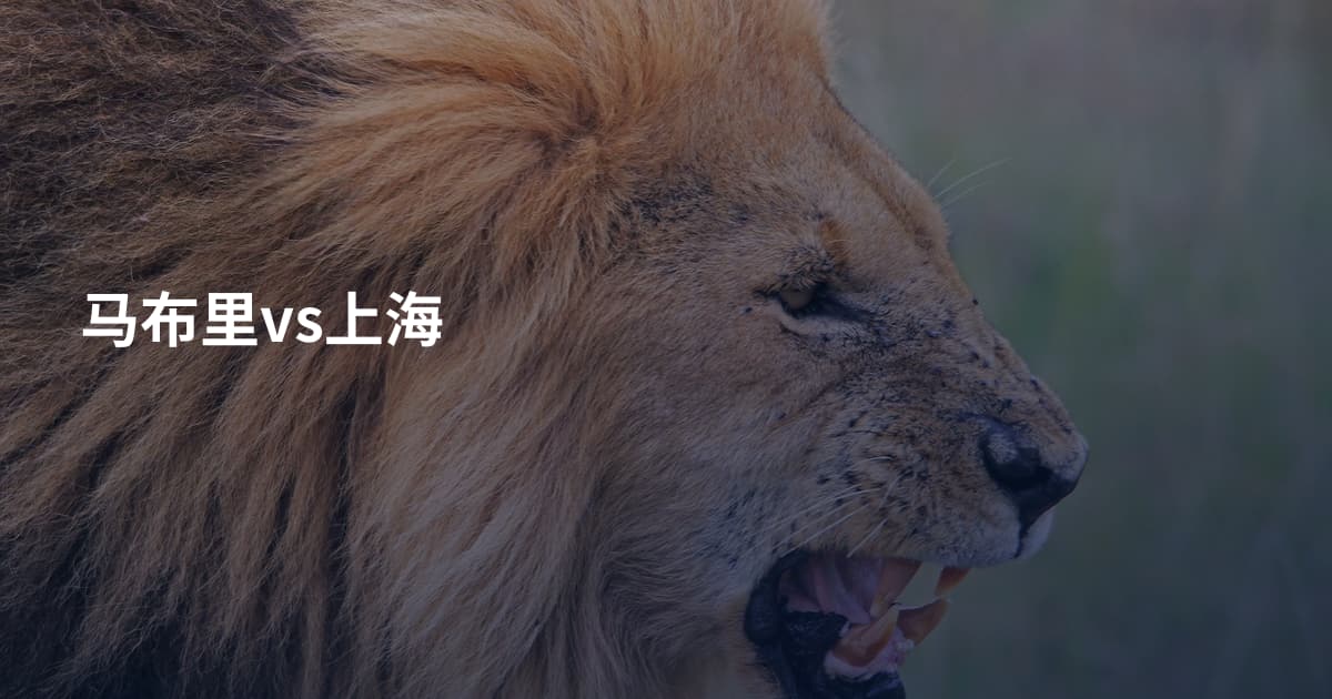 马布里vs上海