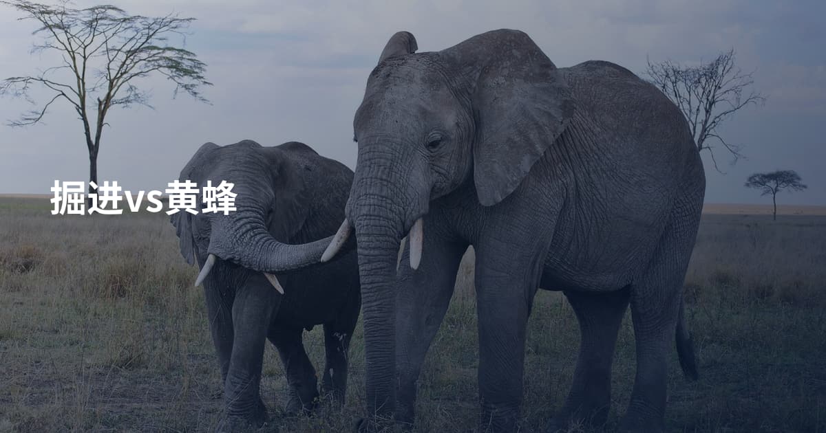 掘进vs黄蜂