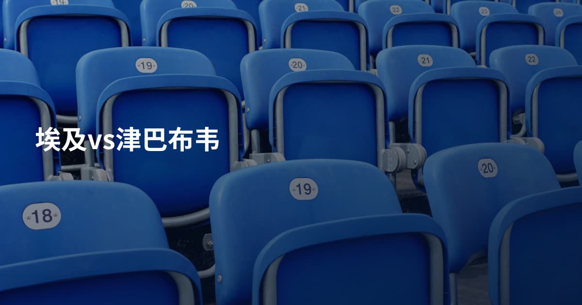 埃及vs津巴布韦