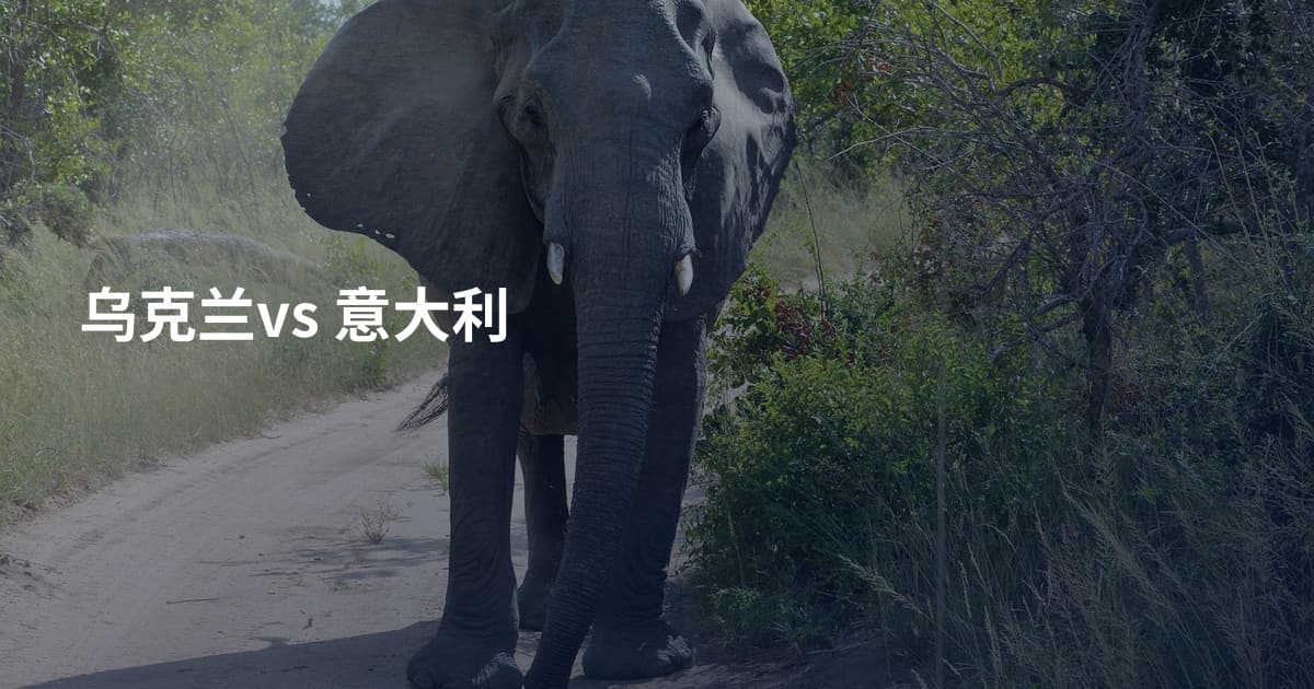 乌克兰vs 意大利