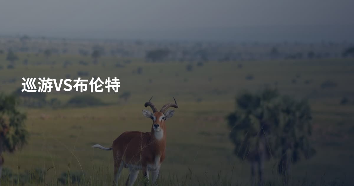 巡游VS布伦特
