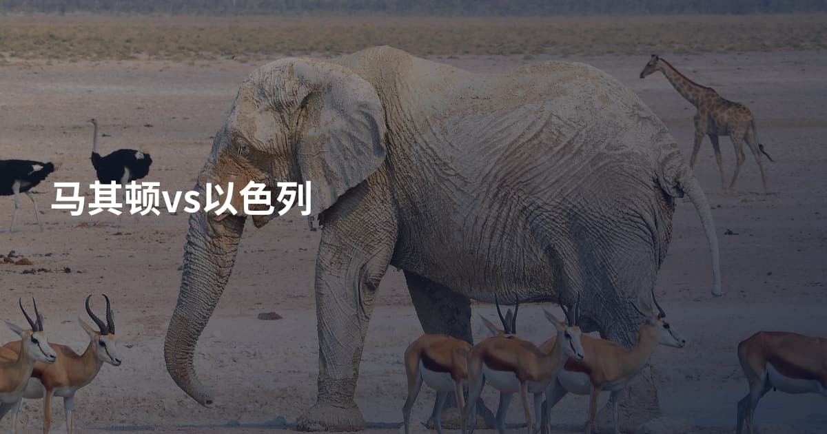 马其顿vs以色列