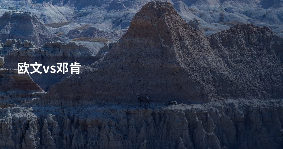 欧文vs邓肯