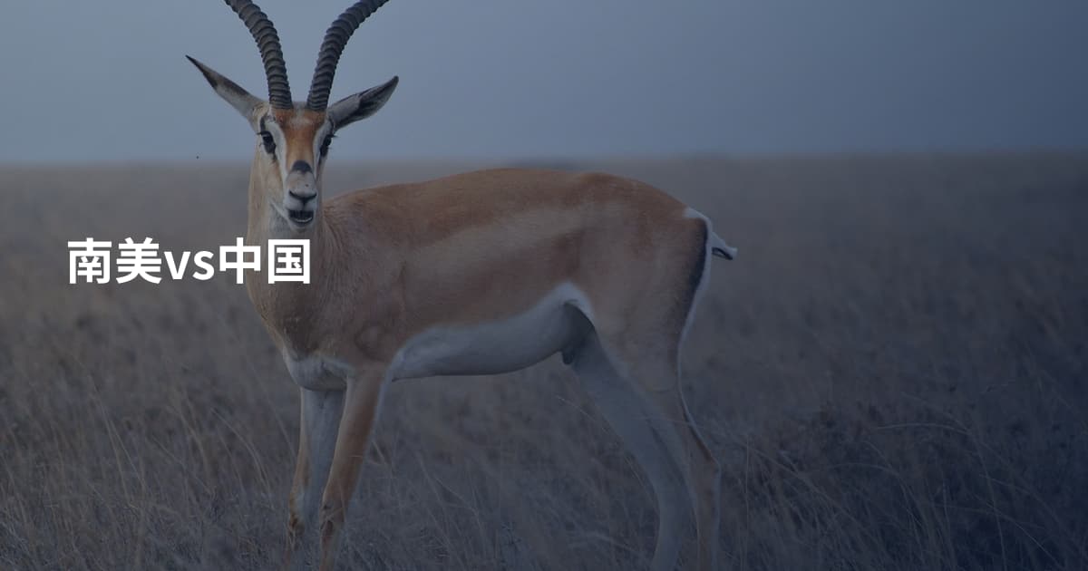 南美vs中国