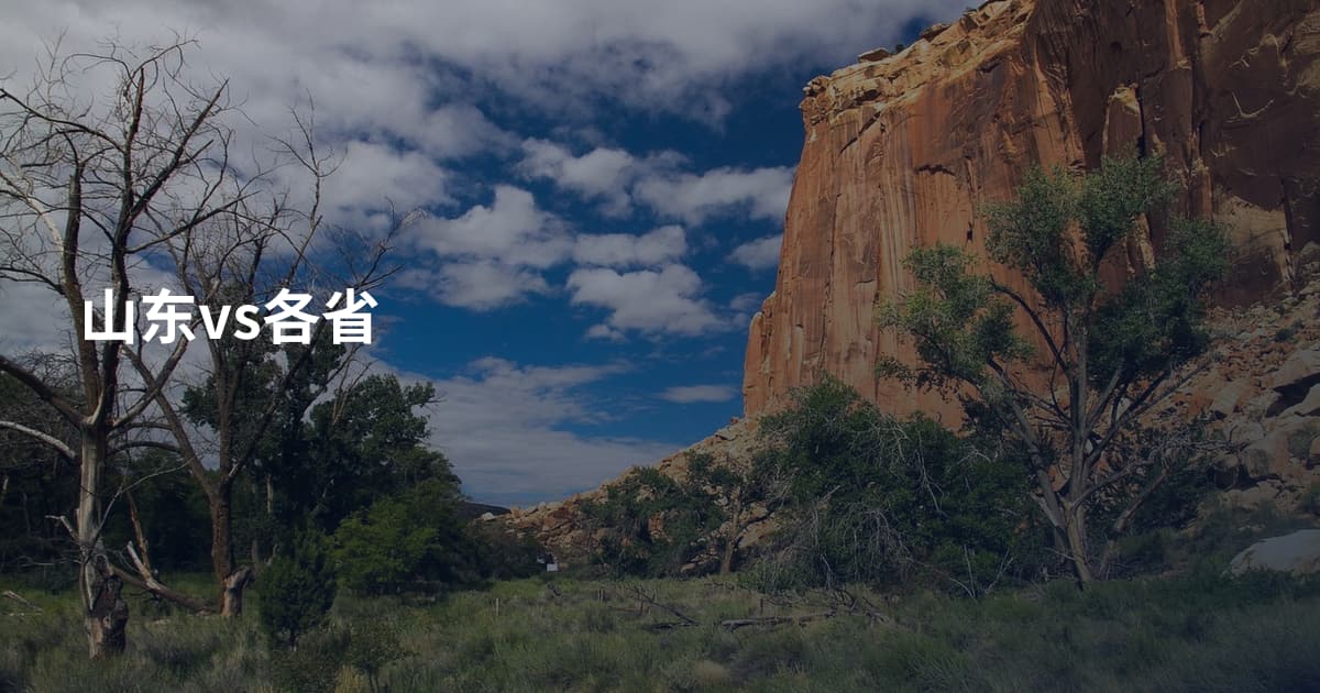 山东vs各省