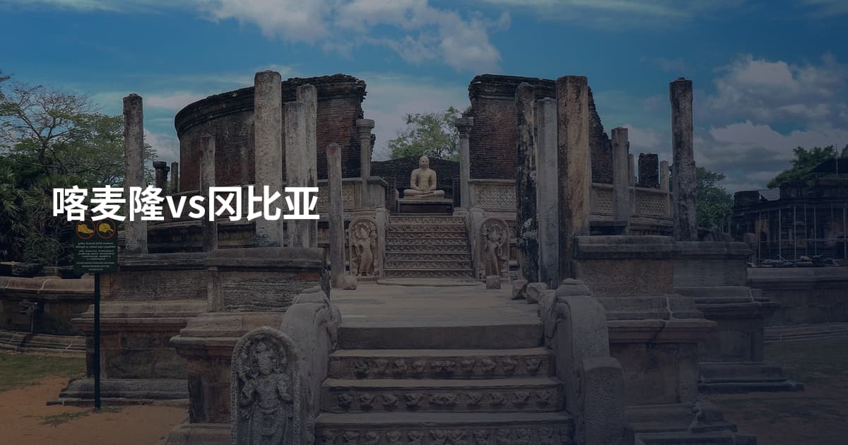 喀麦隆vs冈比亚