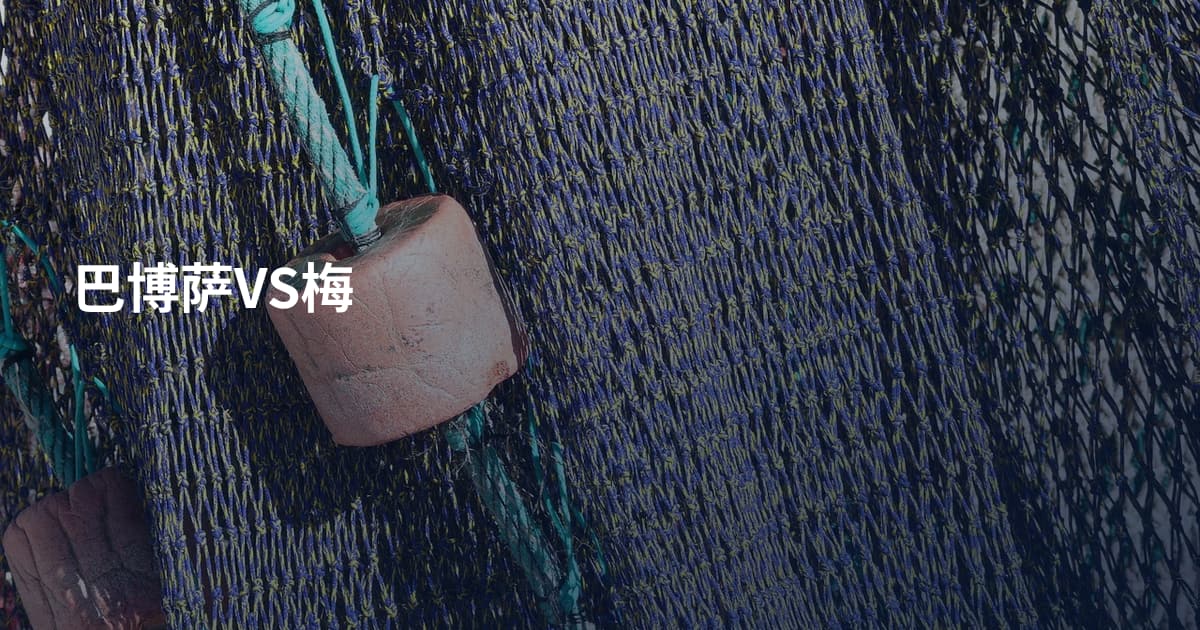 巴博萨VS梅