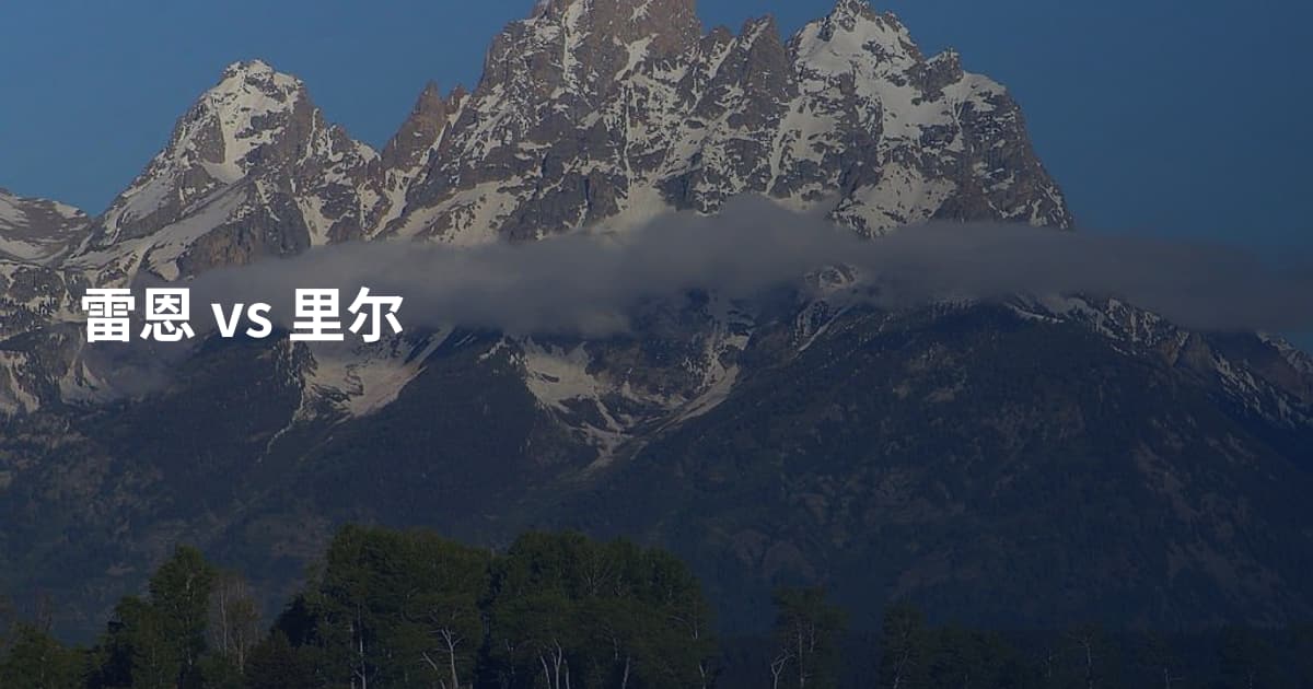 雷恩 vs 里尔