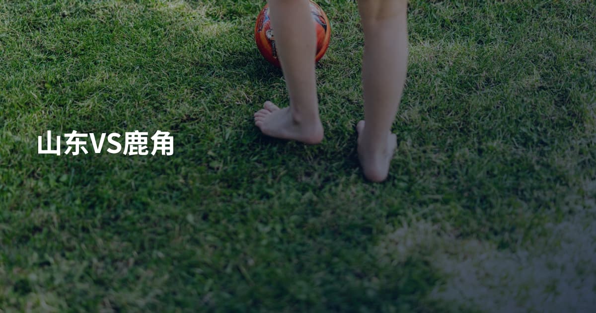 山东VS鹿角