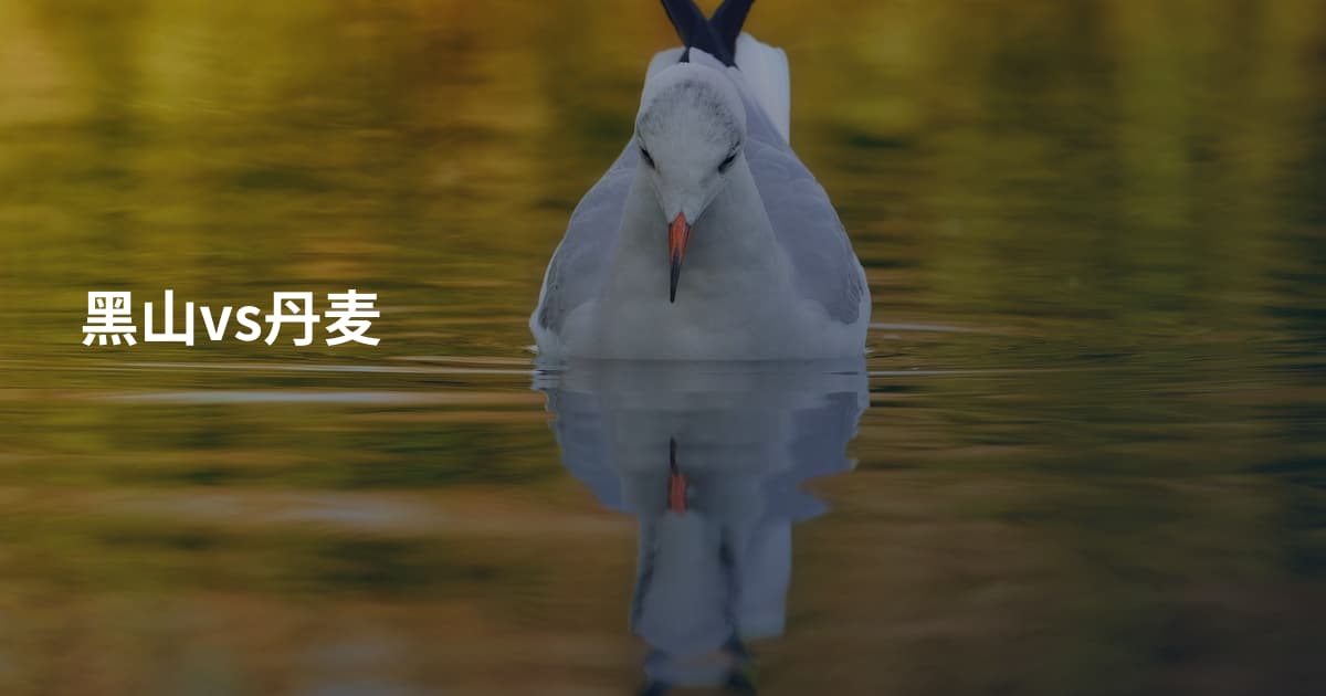 黑山vs丹麦