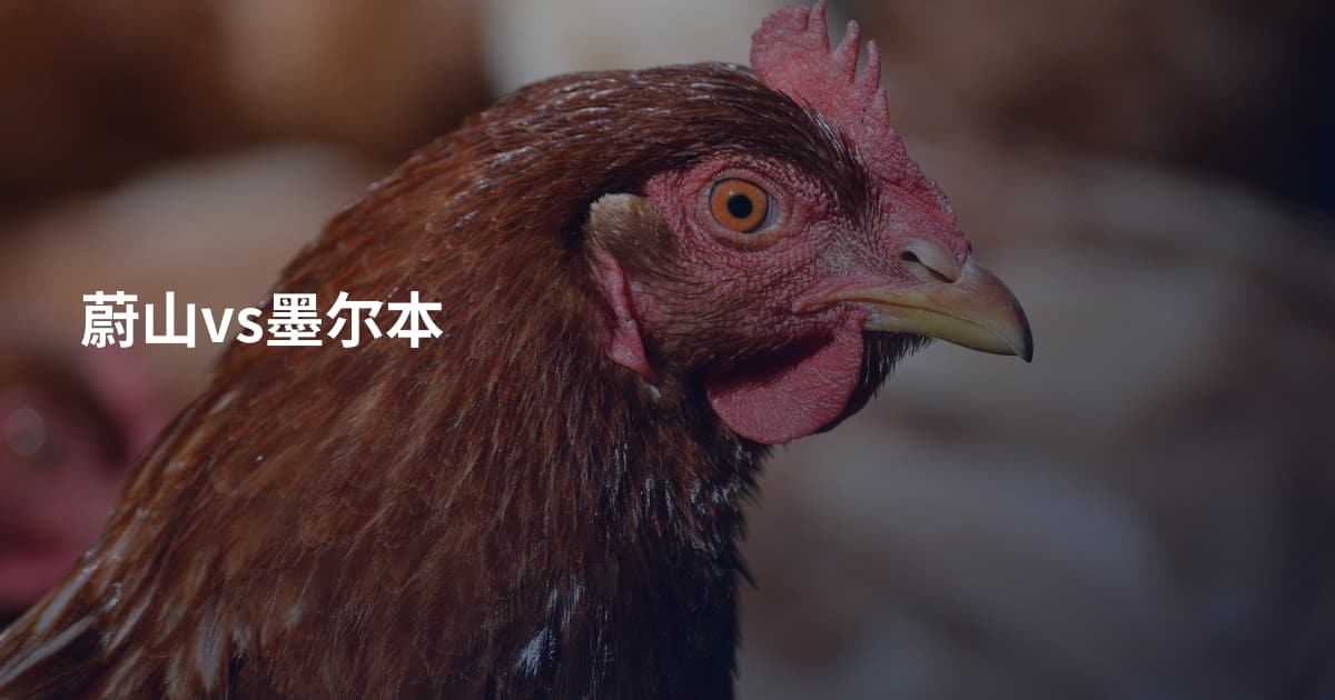蔚山vs墨尔本