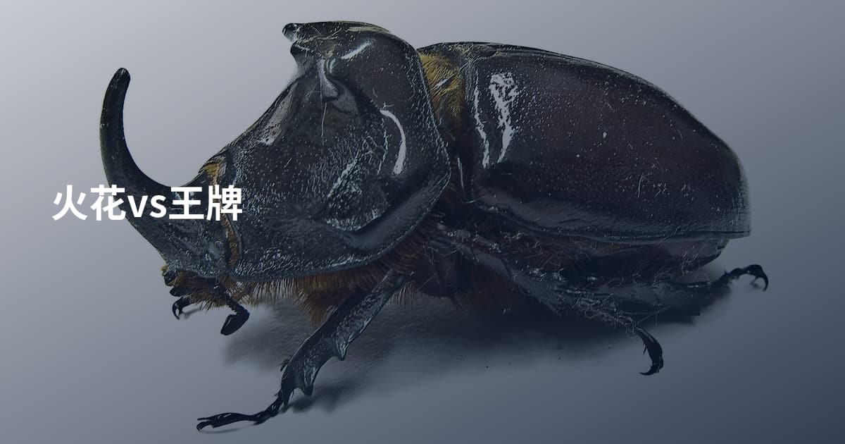 火花vs王牌