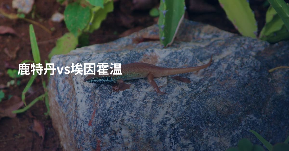 鹿特丹vs埃因霍温