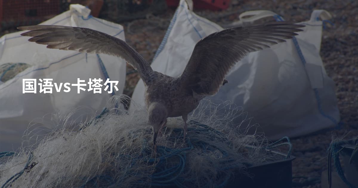 国语vs卡塔尔