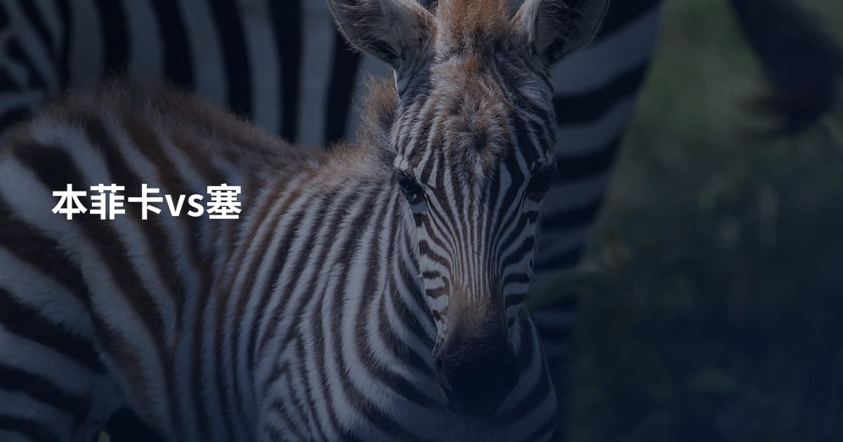 本菲卡vs塞