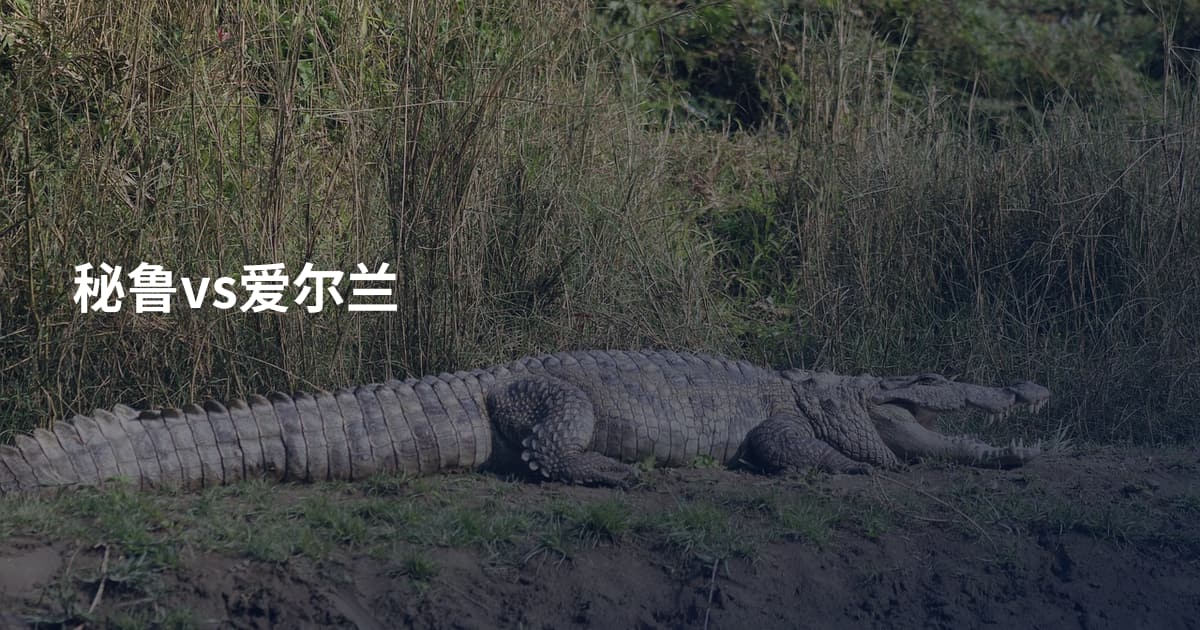 秘鲁vs爱尔兰