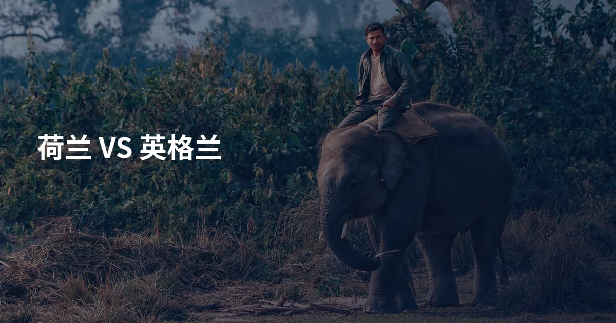 荷兰 VS 英格兰