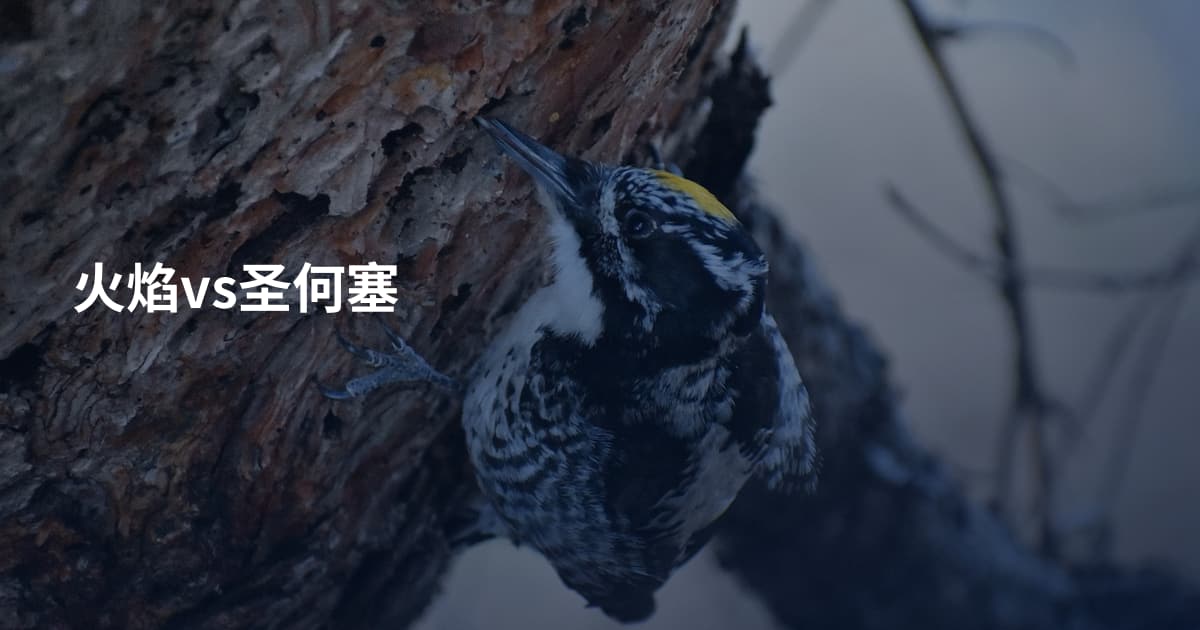 火焰vs圣何塞