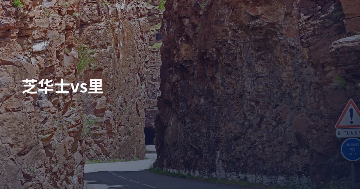 芝华士vs里