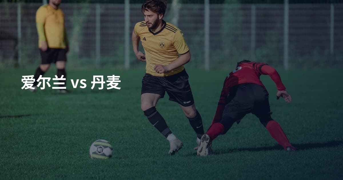 爱尔兰 vs 丹麦