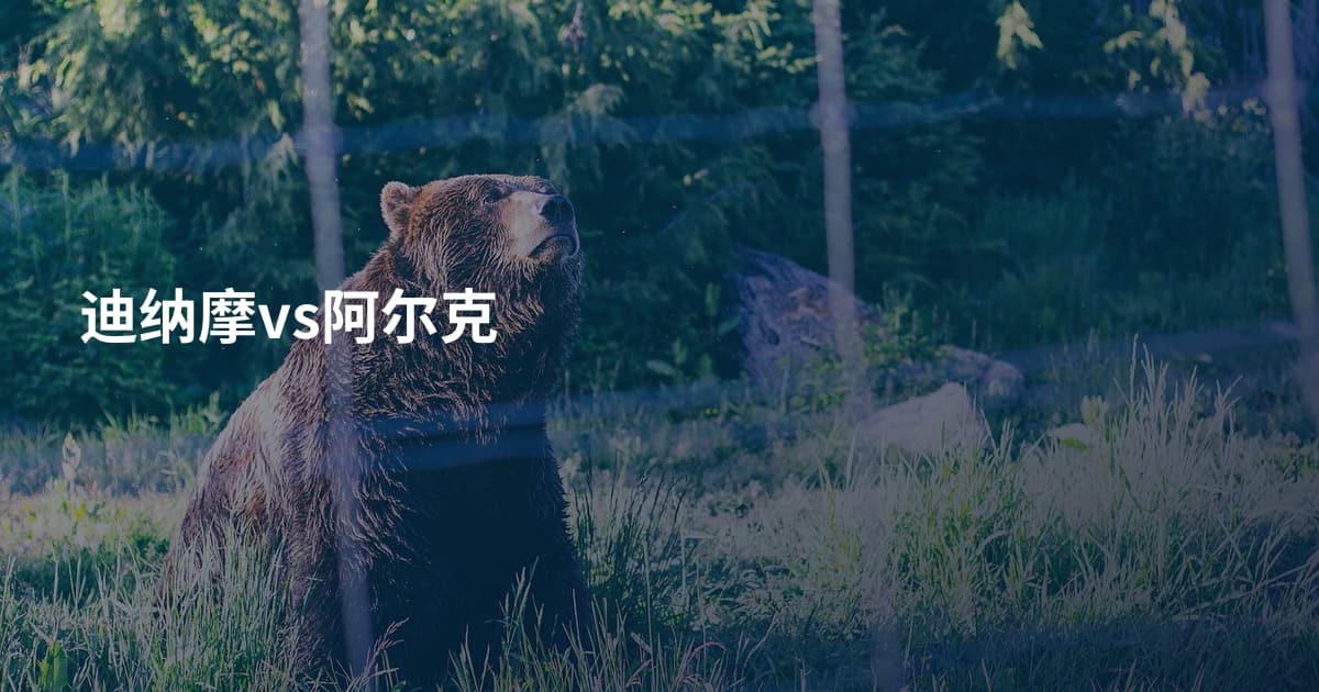 迪纳摩vs阿尔克