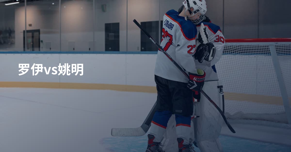 罗伊vs姚明
