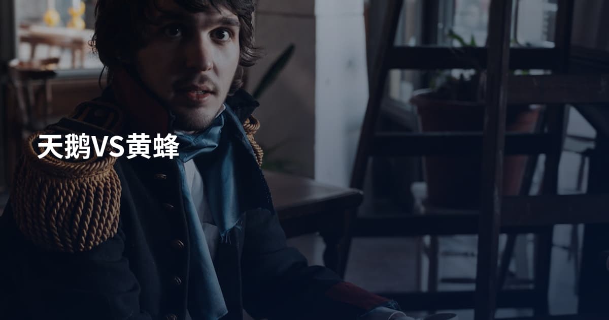 天鹅VS黄蜂