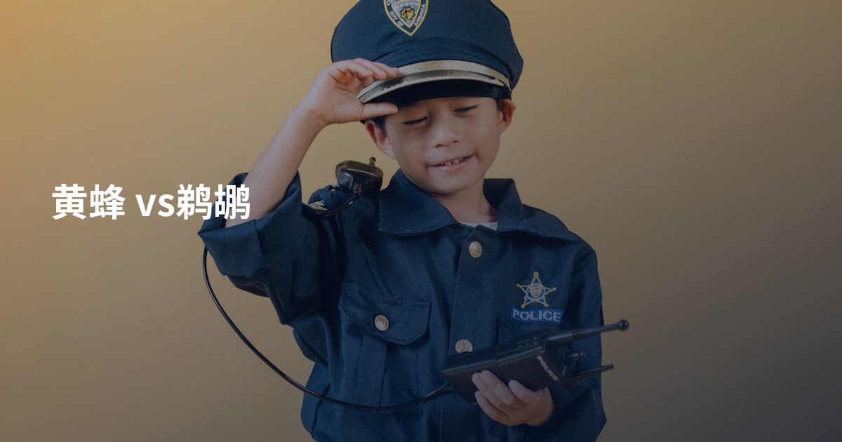 黄蜂 vs鹈鹕