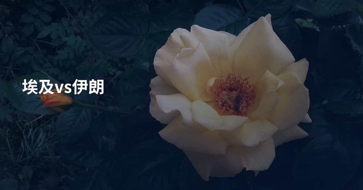 埃及vs伊朗