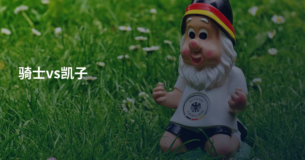 骑士vs凯子