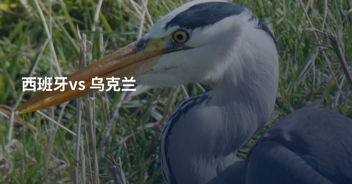 西班牙vs 乌克兰