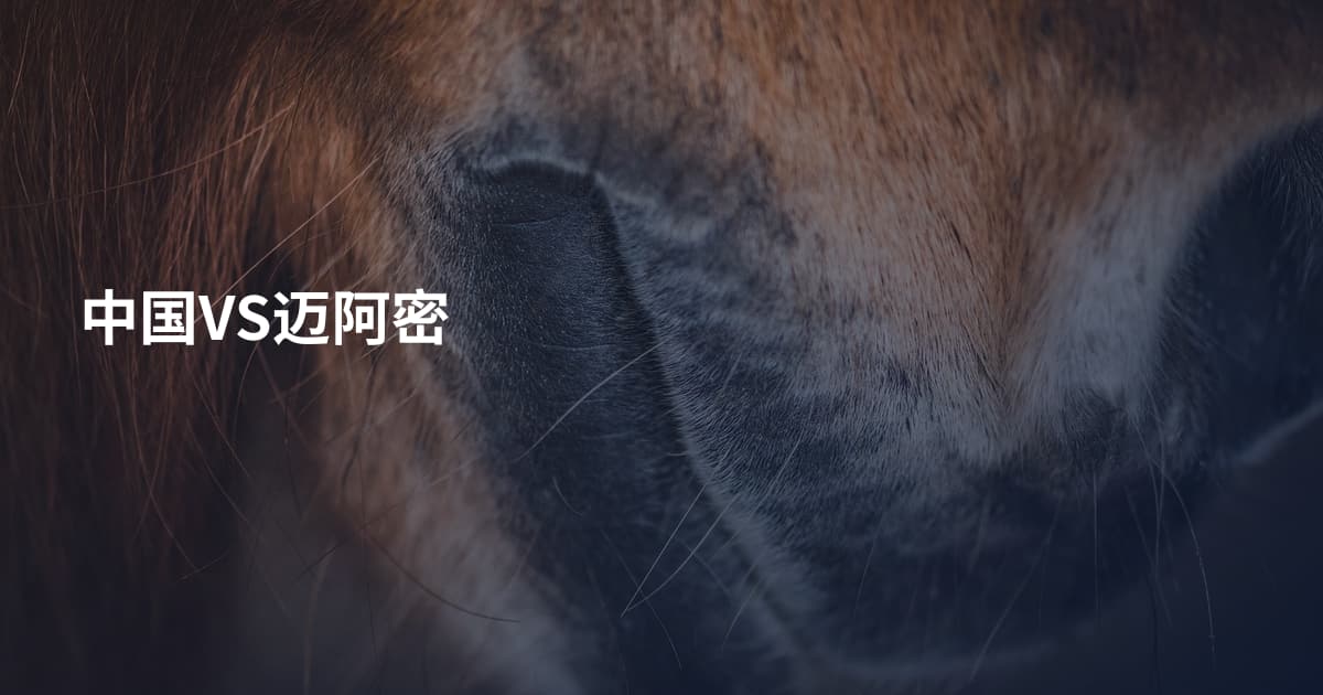 中国VS迈阿密