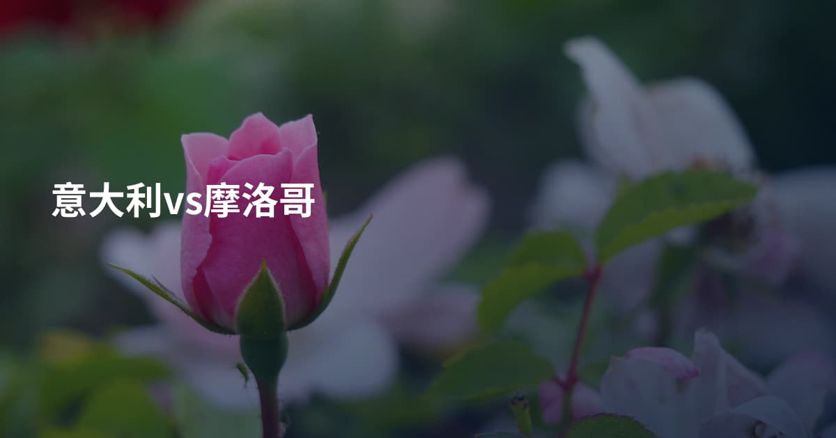 意大利vs摩洛哥