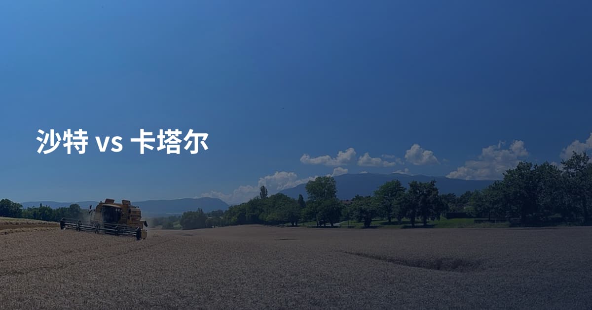 沙特 vs 卡塔尔