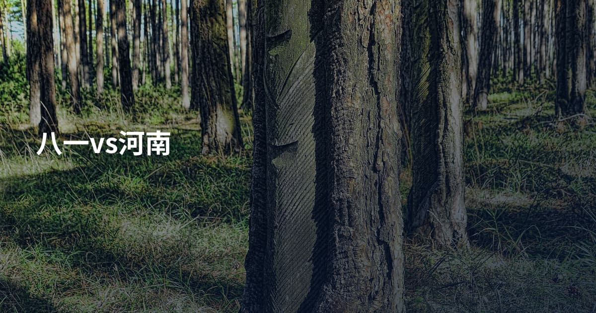八一vs河南