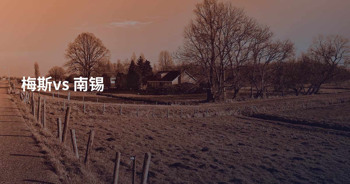 梅斯vs 南锡