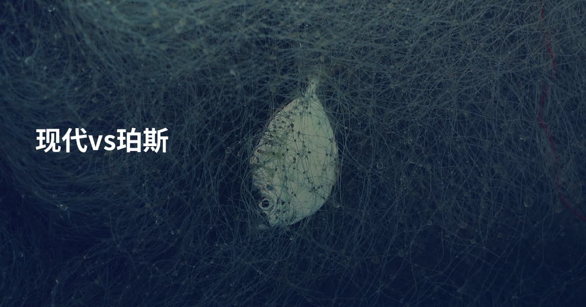 现代vs珀斯