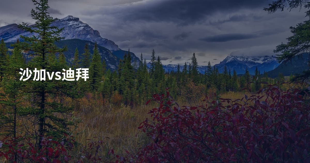 沙加vs迪拜