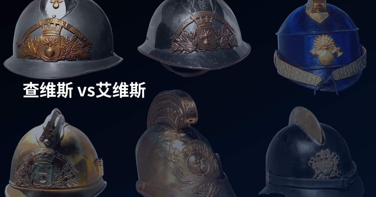 查维斯 vs艾维斯