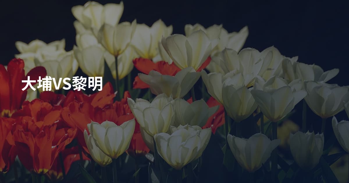 大埔VS黎明