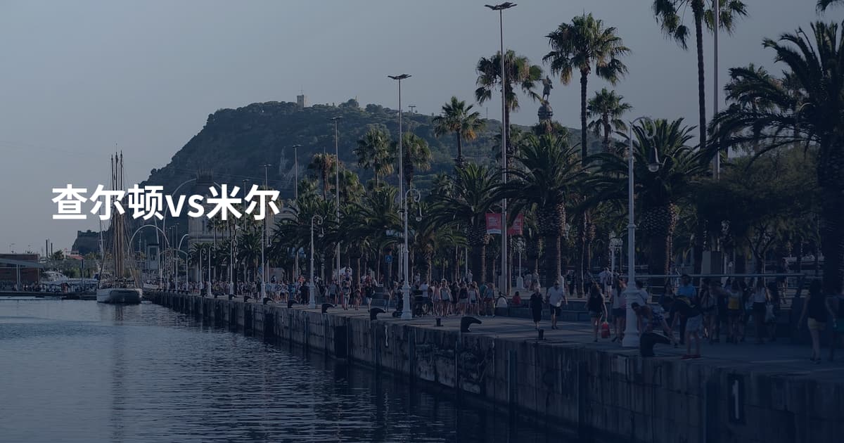 查尔顿vs米尔