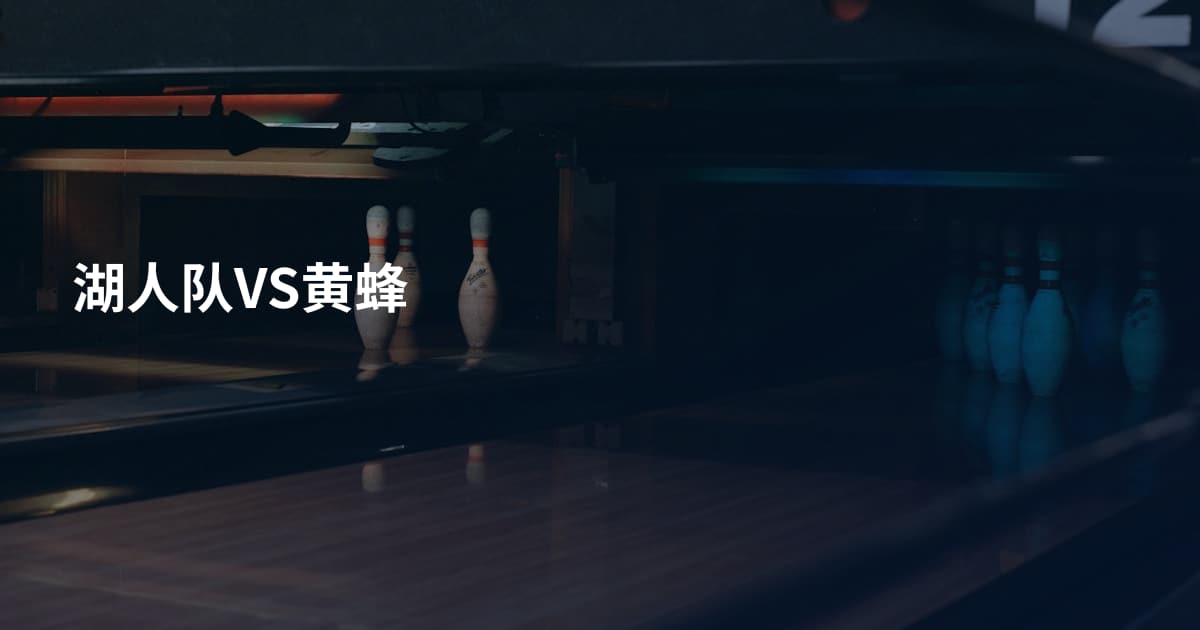 湖人队VS黄蜂