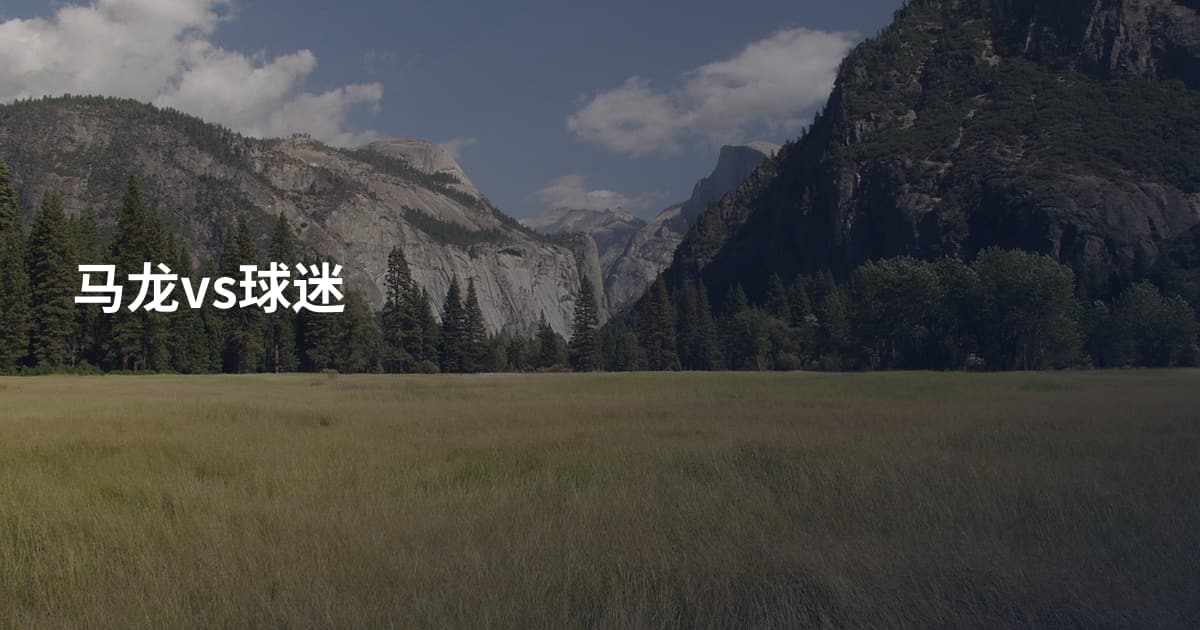 马龙vs球迷