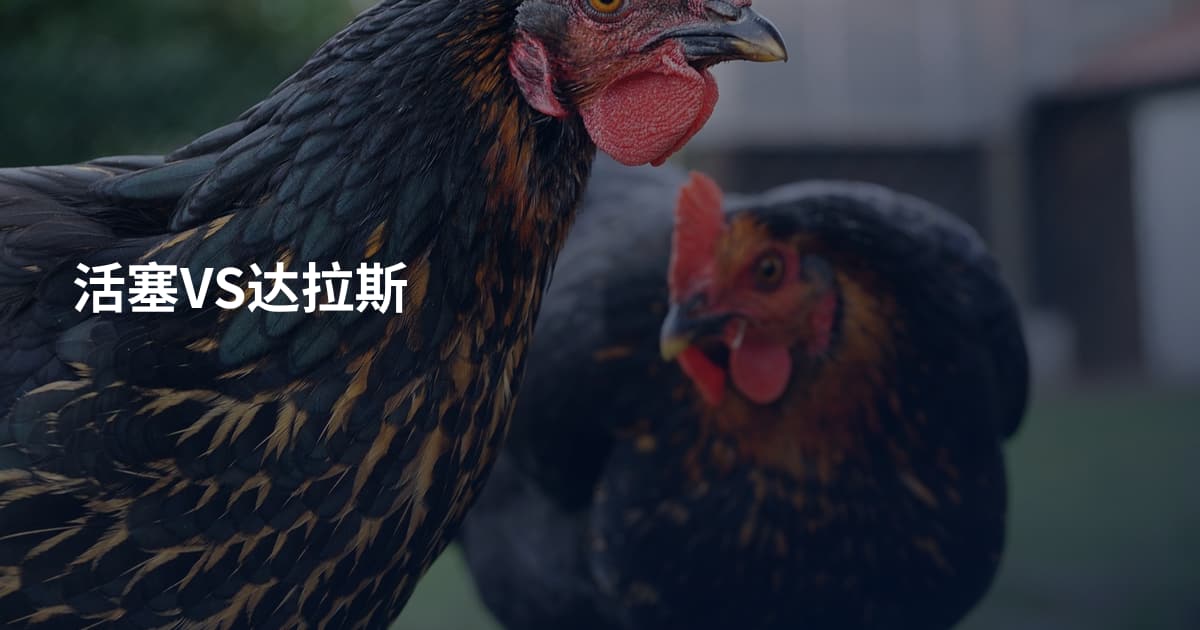 活塞VS达拉斯