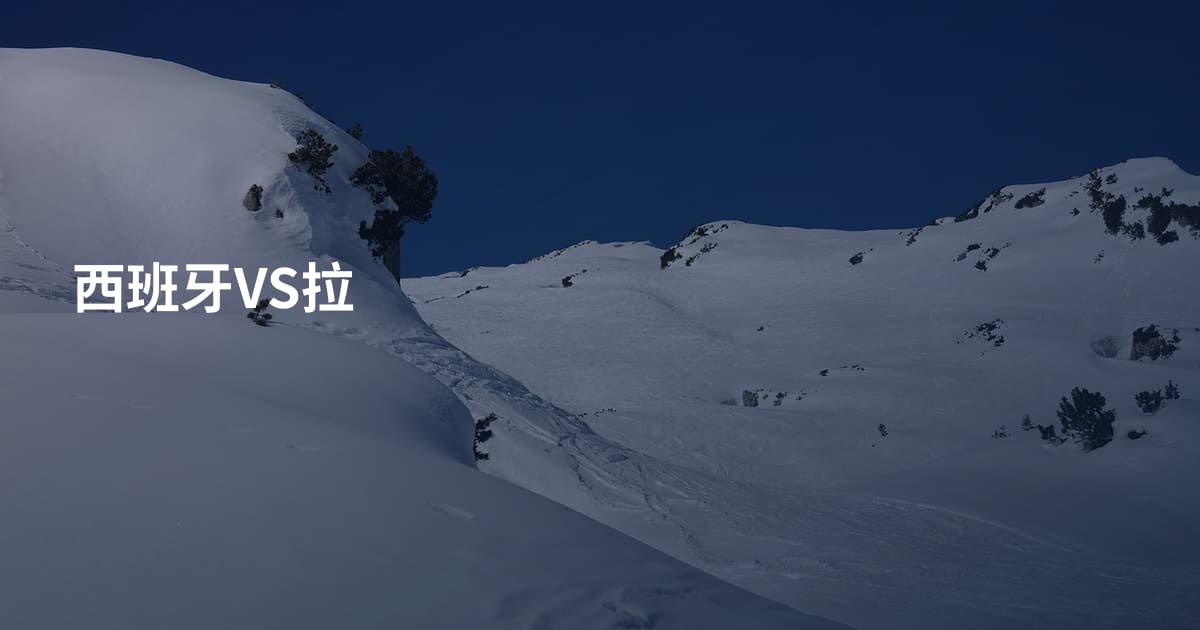 西班牙VS拉
