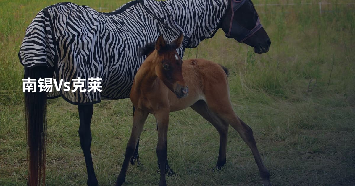 南锡Vs克莱